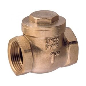 Valvola Clapet 1"